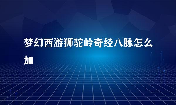 梦幻西游狮驼岭奇经八脉怎么加