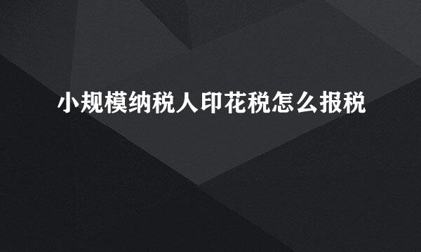 小规模纳税人印花税怎么报税