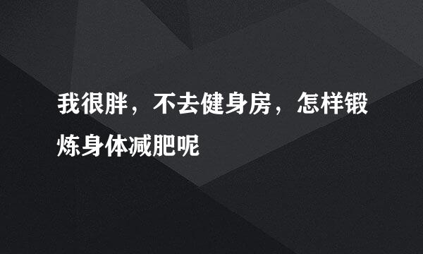 我很胖，不去健身房，怎样锻炼身体减肥呢