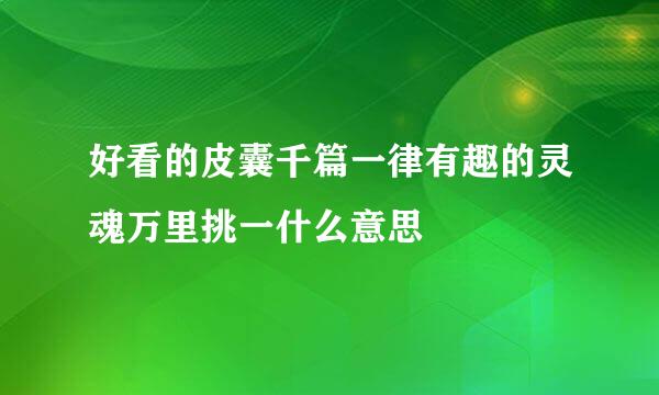 好看的皮囊千篇一律有趣的灵魂万里挑一什么意思