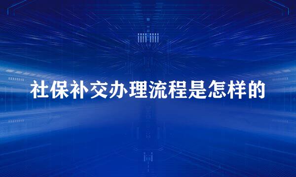 社保补交办理流程是怎样的