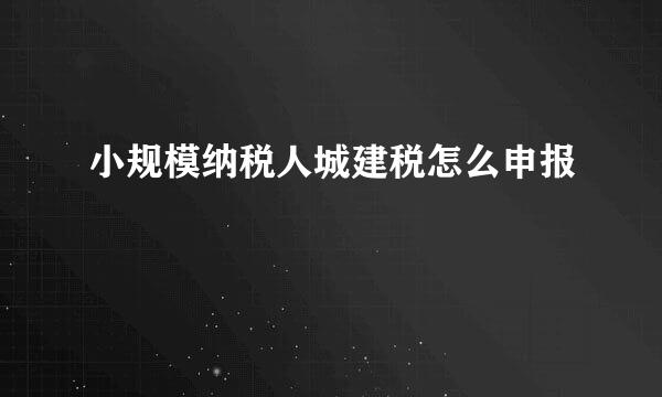 小规模纳税人城建税怎么申报