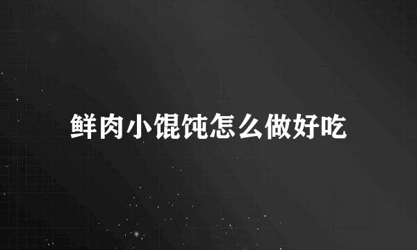 鲜肉小馄饨怎么做好吃