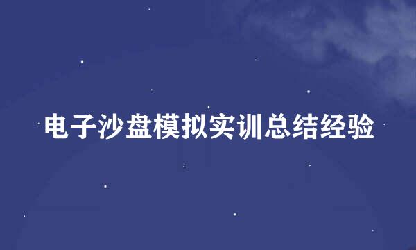 电子沙盘模拟实训总结经验