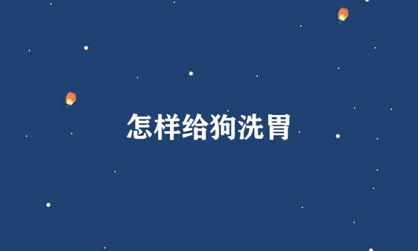 怎样给狗洗胃