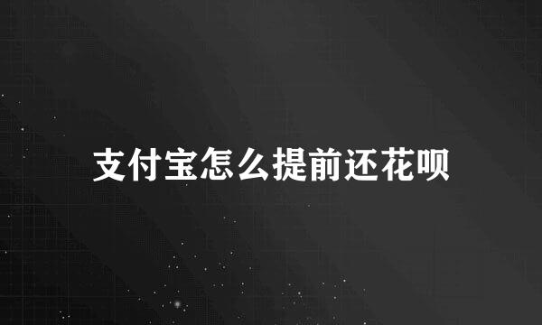 支付宝怎么提前还花呗