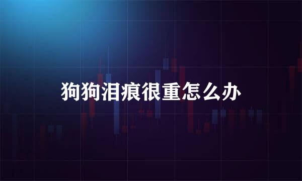 狗狗泪痕很重怎么办