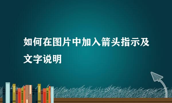 如何在图片中加入箭头指示及文字说明