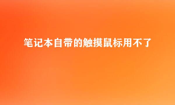 笔记本自带的触摸鼠标用不了