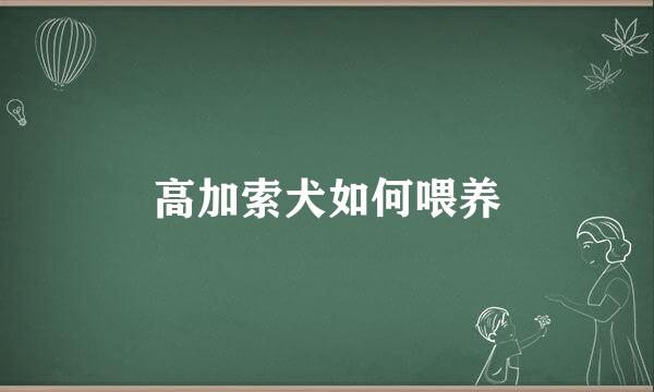 高加索犬如何喂养