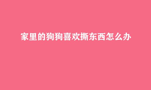 家里的狗狗喜欢撕东西怎么办