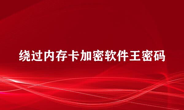 绕过内存卡加密软件王密码