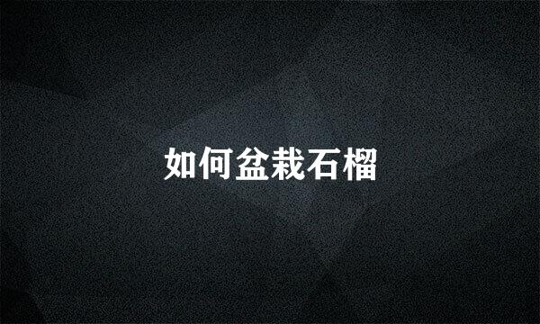 如何盆栽石榴