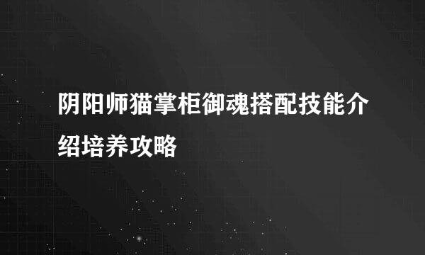 阴阳师猫掌柜御魂搭配技能介绍培养攻略