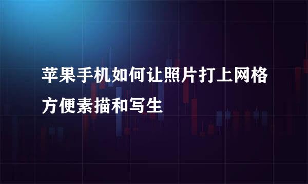 苹果手机如何让照片打上网格方便素描和写生