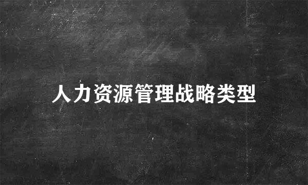 人力资源管理战略类型