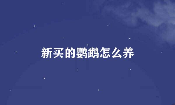 新买的鹦鹉怎么养