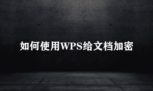 如何使用WPS给文档加密