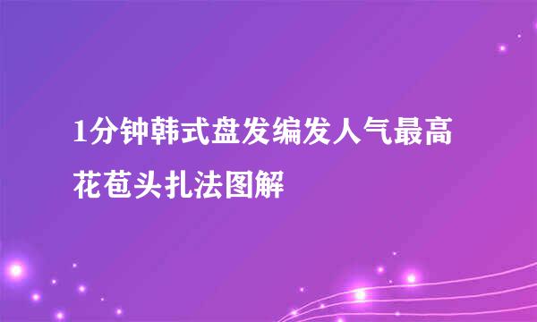 1分钟韩式盘发编发人气最高花苞头扎法图解