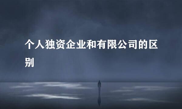 个人独资企业和有限公司的区别