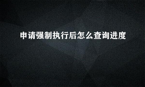 申请强制执行后怎么查询进度