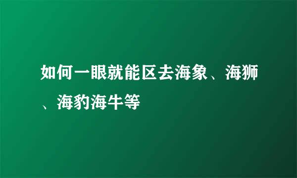 如何一眼就能区去海象、海狮、海豹海牛等