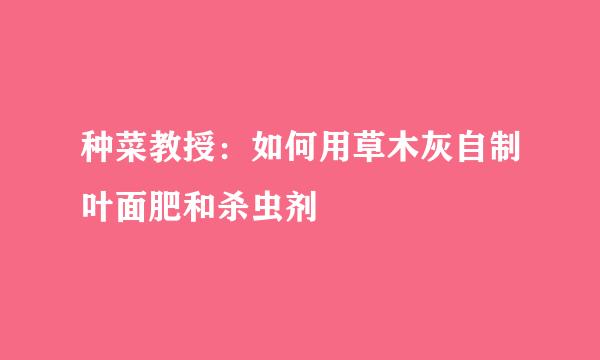 种菜教授：如何用草木灰自制叶面肥和杀虫剂