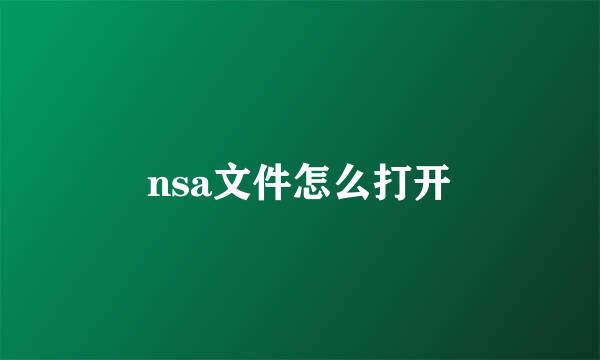 nsa文件怎么打开