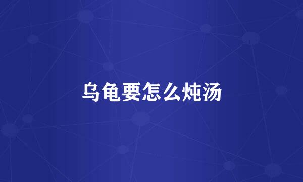乌龟要怎么炖汤