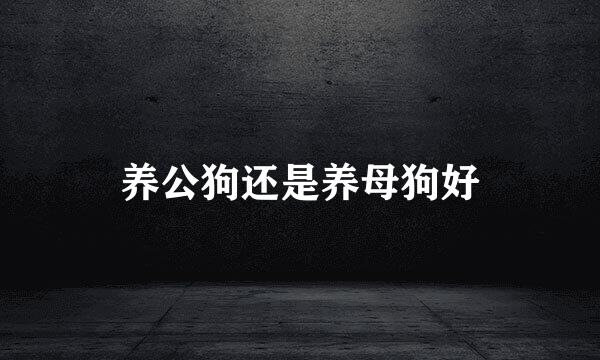 养公狗还是养母狗好