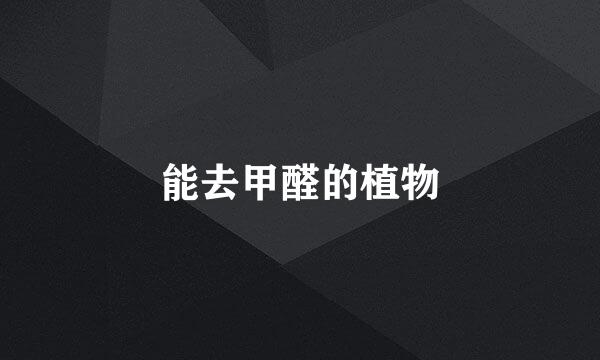 能去甲醛的植物