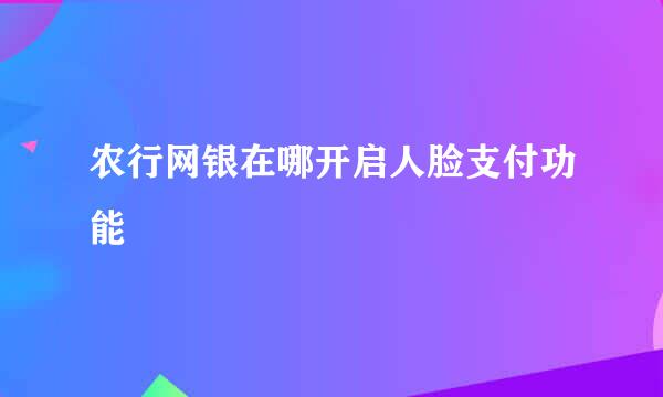 农行网银在哪开启人脸支付功能