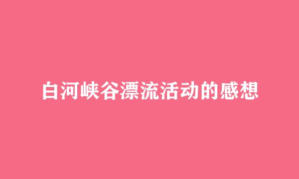 白河峡谷漂流活动的感想