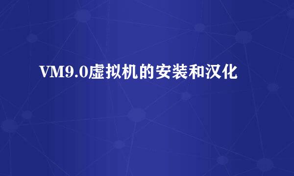 VM9.0虚拟机的安装和汉化