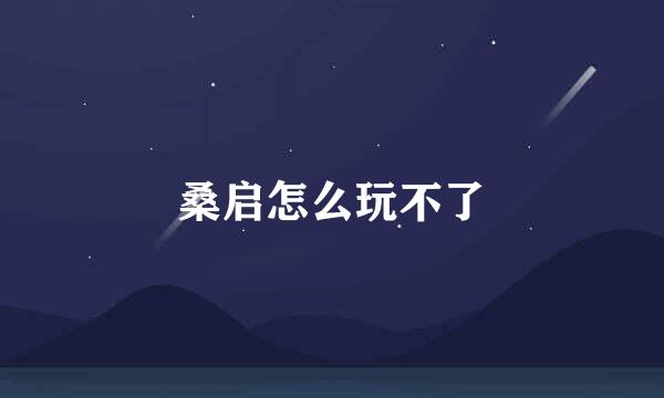 桑启怎么玩不了