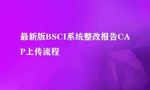 最新版BSCI系统整改报告CAP上传流程