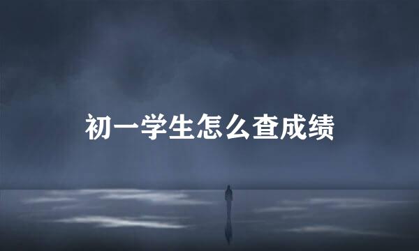 初一学生怎么查成绩
