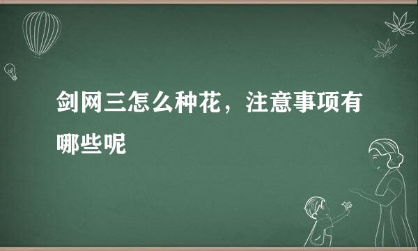 剑网三怎么种花，注意事项有哪些呢