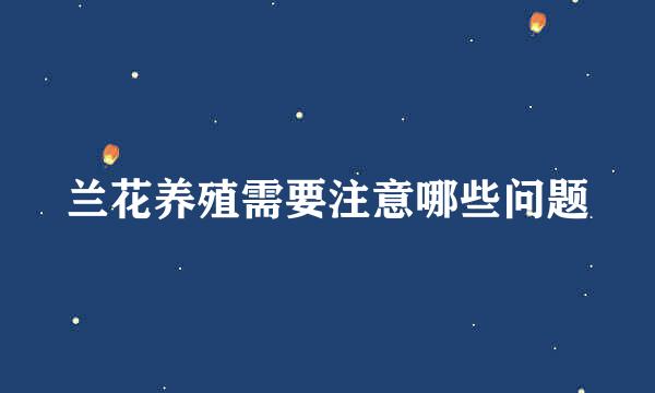 兰花养殖需要注意哪些问题