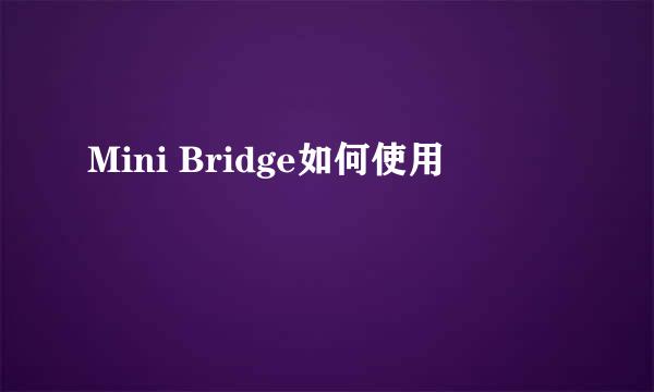 Mini Bridge如何使用
