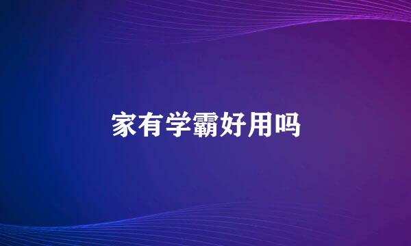 家有学霸好用吗