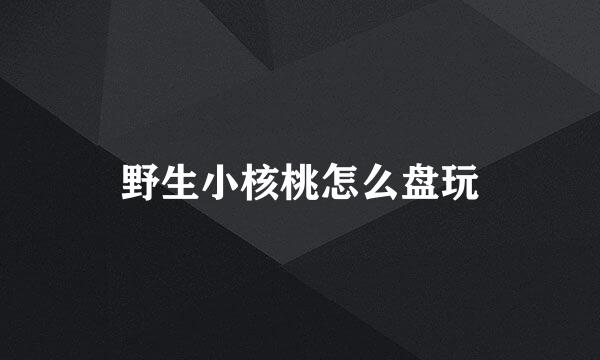 野生小核桃怎么盘玩