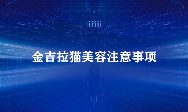 金吉拉猫美容注意事项