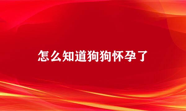怎么知道狗狗怀孕了