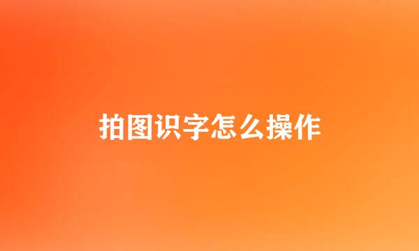 拍图识字怎么操作