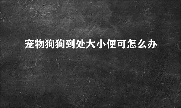 宠物狗狗到处大小便可怎么办