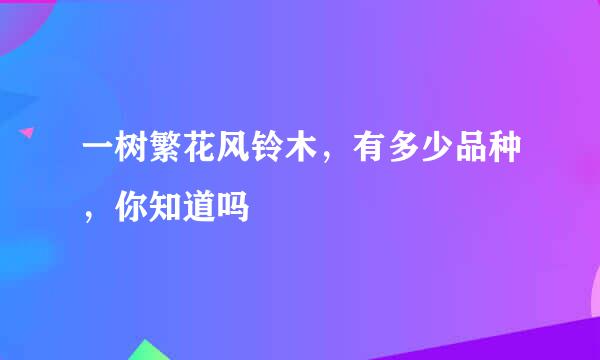 一树繁花风铃木，有多少品种，你知道吗