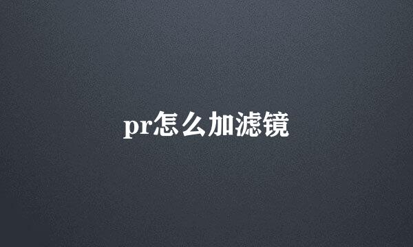 pr怎么加滤镜