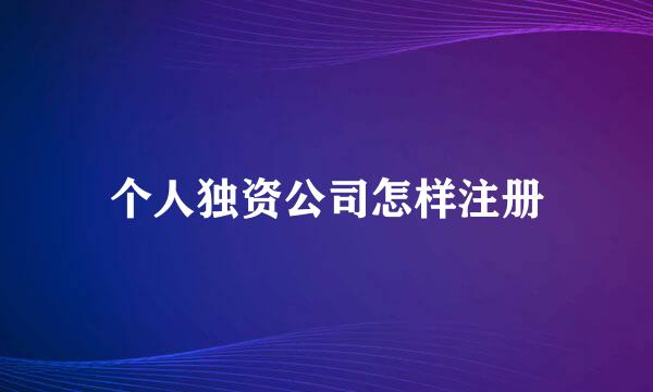 个人独资公司怎样注册