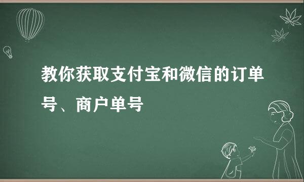 教你获取支付宝和微信的订单号、商户单号